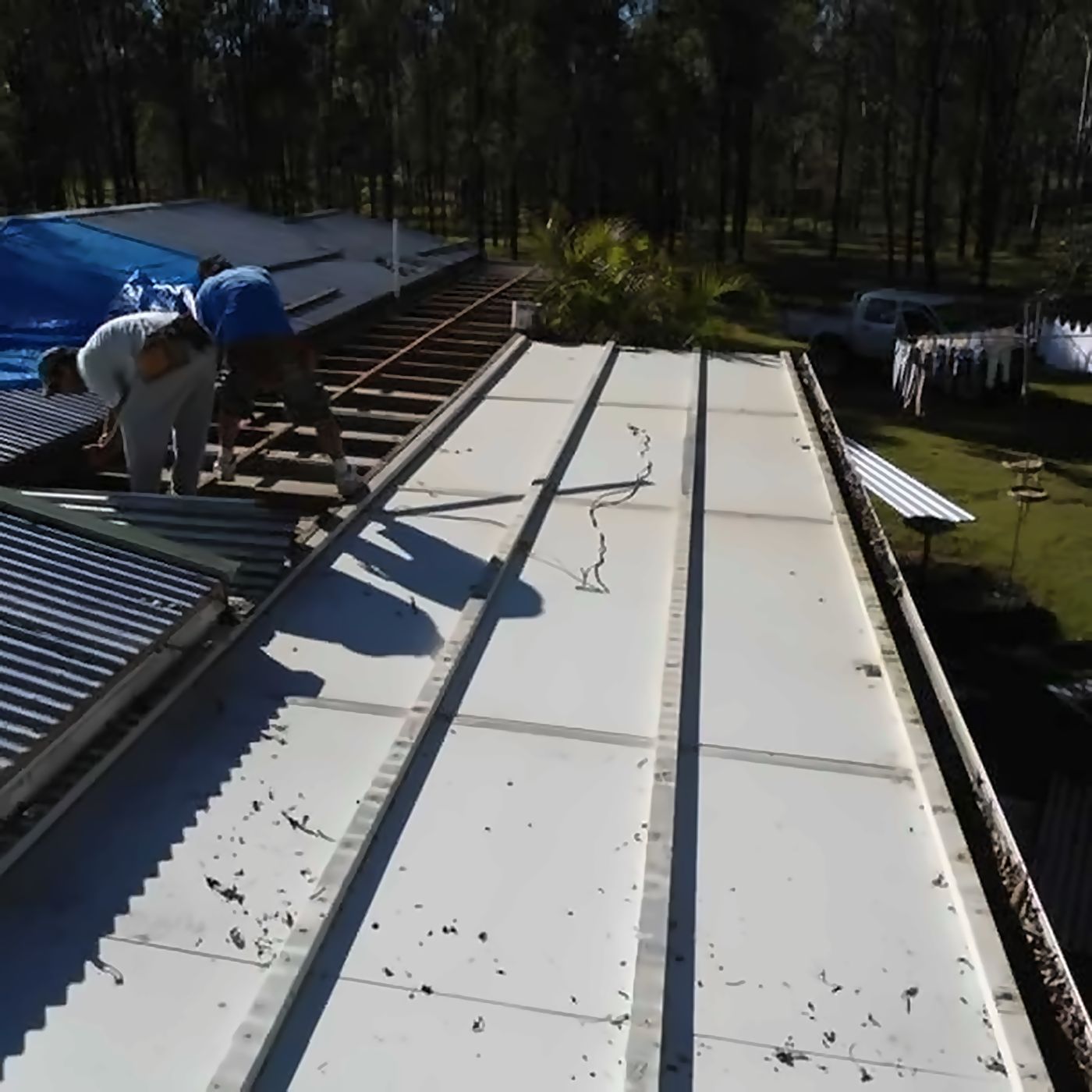 Roofers replacing old roof sheeting with new metal roofing on a Queensland property